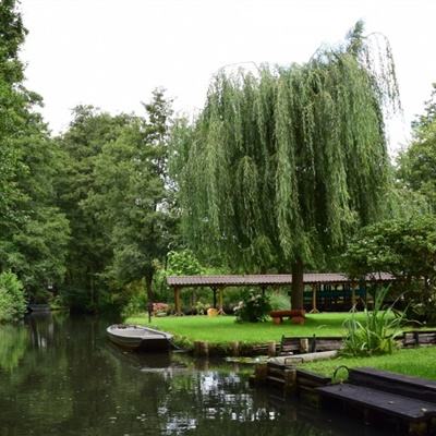 NG体育APP官方下载网址手机app下载